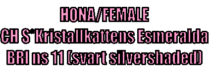 Tillbaka
honor