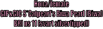KULLAR/LITTERS 
GIC S*Catpearl's Biwa Pearl (Biwa)
BRI ns11/BRI ns12 (chinchilla)