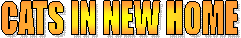 HONOR