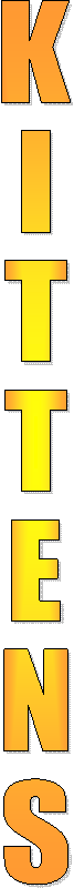 KATTUNGESIDAN